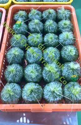 Frozen grated cassava leave of Tan Gia Thanh