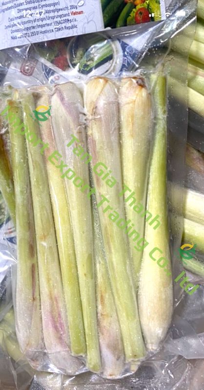 Tan Gia Thanh Exim Trading Co., Ltd
