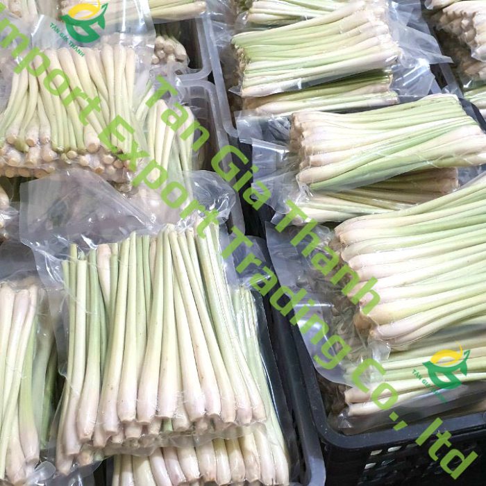 frozen lemongrass of Tan Gia Thanh