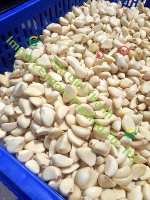Frozen peeled garlic with roots
