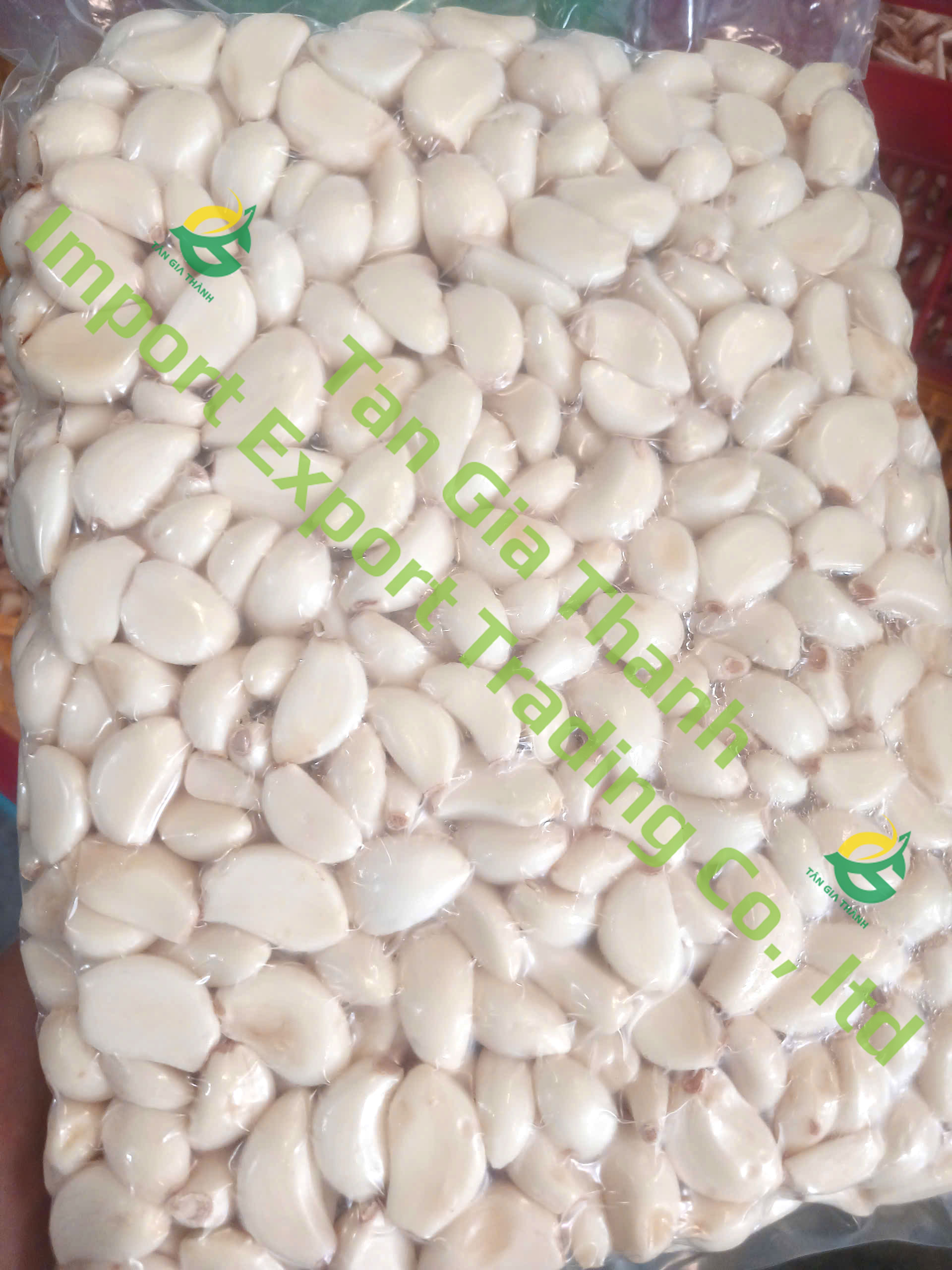 frozen peeled garlics are packed in PA bag and vacuumed frozen peeled garlics are packed in PA bag and vacuumed