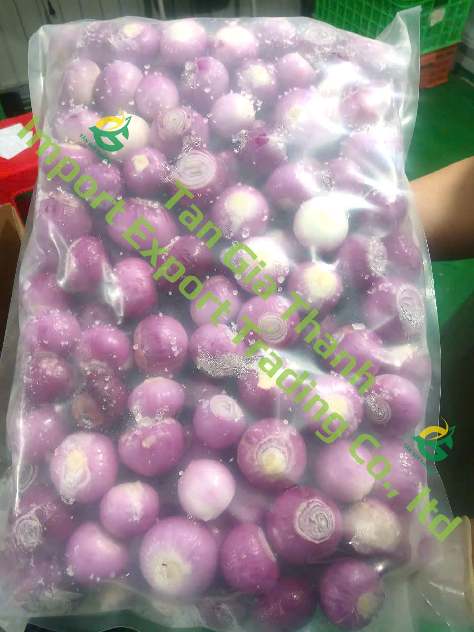 Frozen peeled purple onion of Tan Gia Thanh Frozen peeled purple onion of Tan Gia Thanh