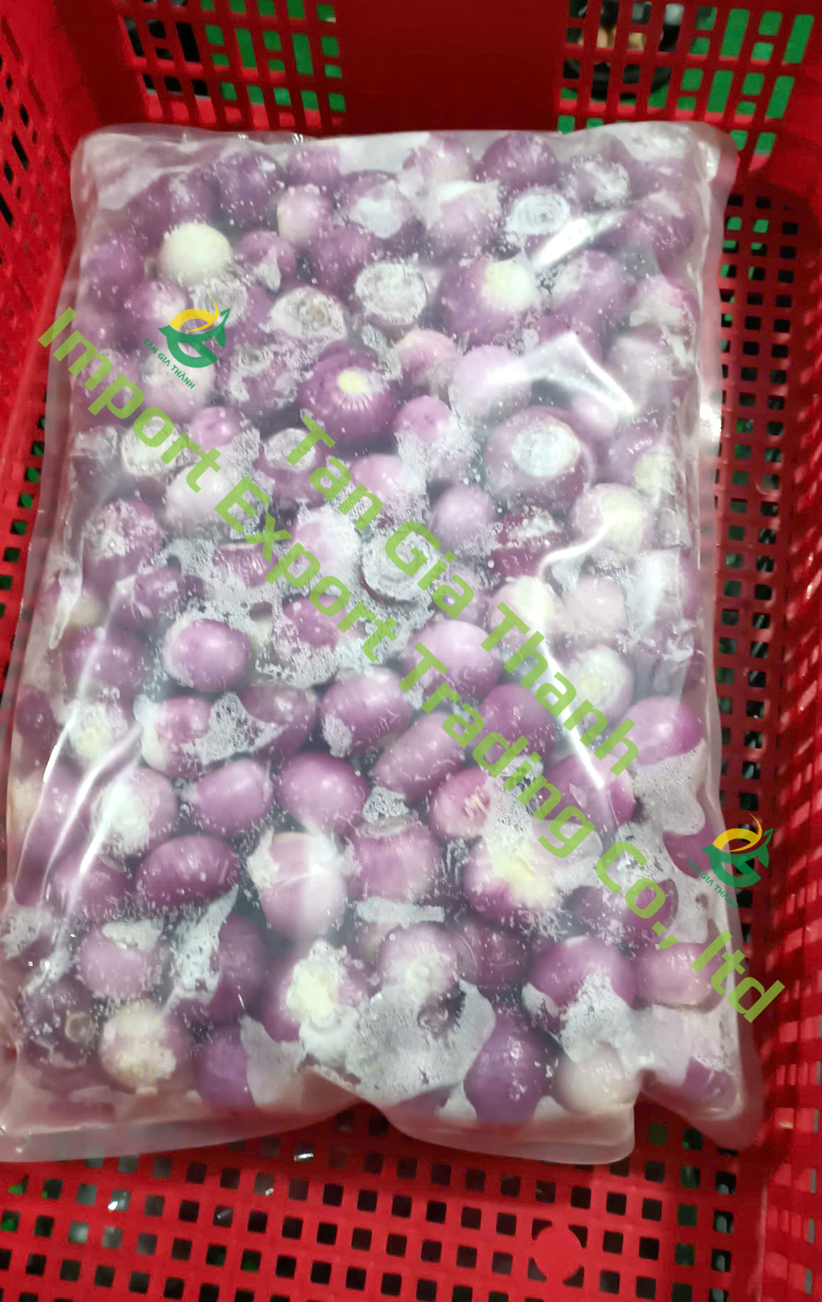 Frozen peeled purple onion Frozen peeled purple onion