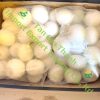 Frozen peeled yellow onion of Tan Gia Thanh