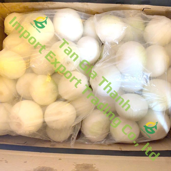 Frozen peeled yellow onion of Tan Gia Thanh