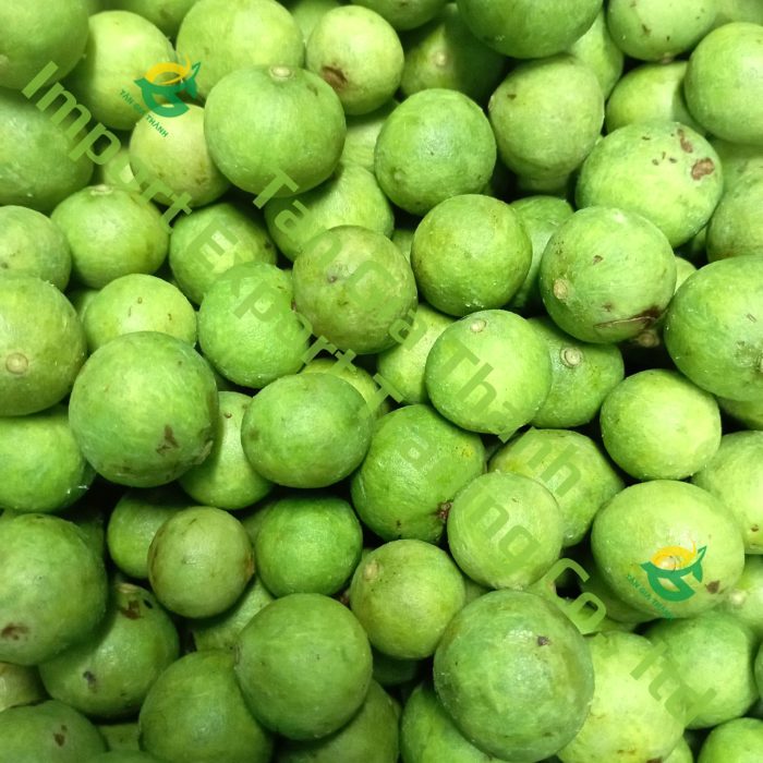 Frozen dracontomelon