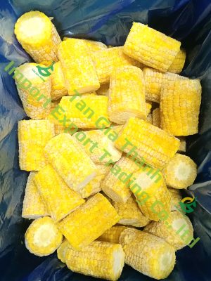 Frozen sweet corn cut cob of Tan Gia Thanh