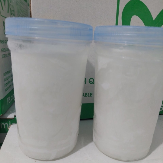 Frozen coconut water for export
