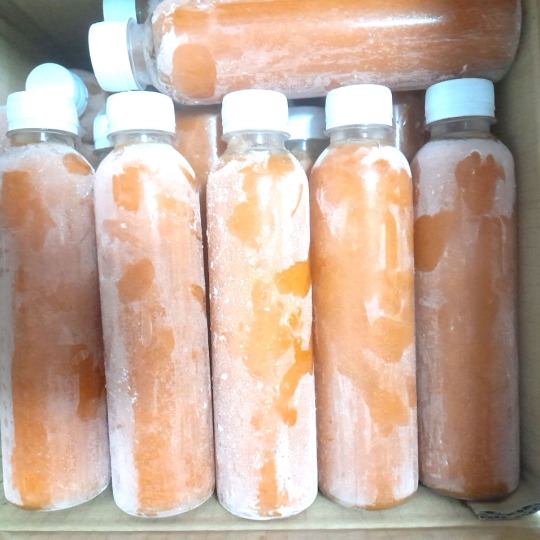 Frozen carrot juice for export