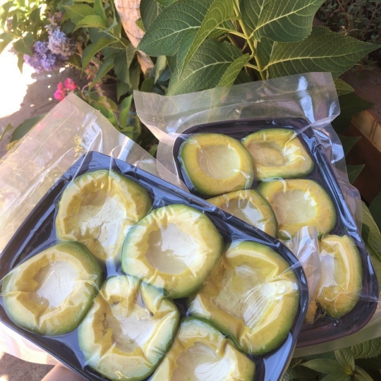 Frozen avocado for export