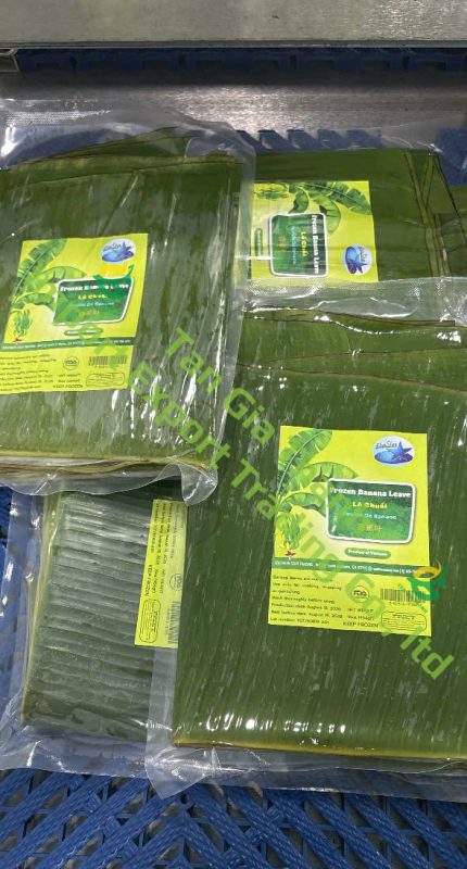 Tan Gia Thanh Exim Trading Co., Ltd