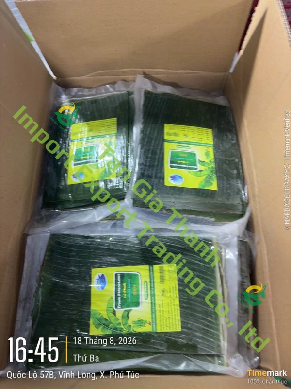 Tan Gia Thanh Exim Trading Co., Ltd