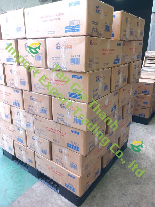Tan Gia Thanh Exim Trading Co., Ltd