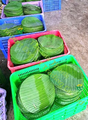 Frozen banana leave with round shape