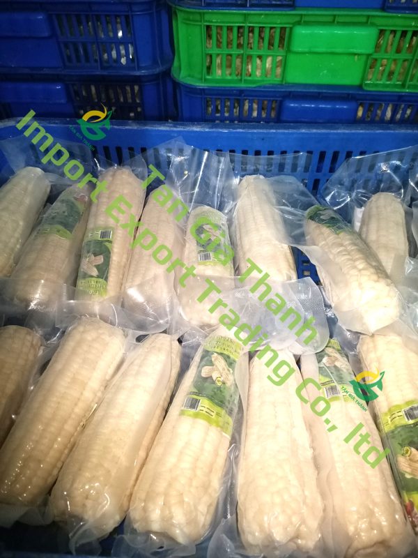Tan Gia Thanh Exim Trading Co., Ltd