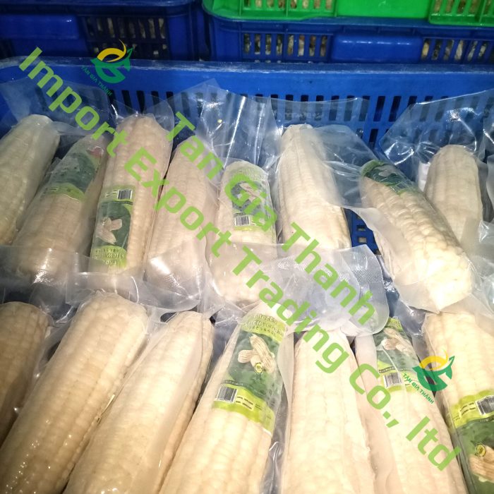 Frozen boiled sticky corn