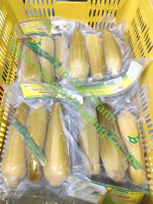 Frozen boiled waxy corn of Tan Gia Thanh