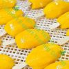 Frozen mango stick of Tan Gia Thanh
