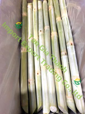 Frozen peeled sugarcane with nodes