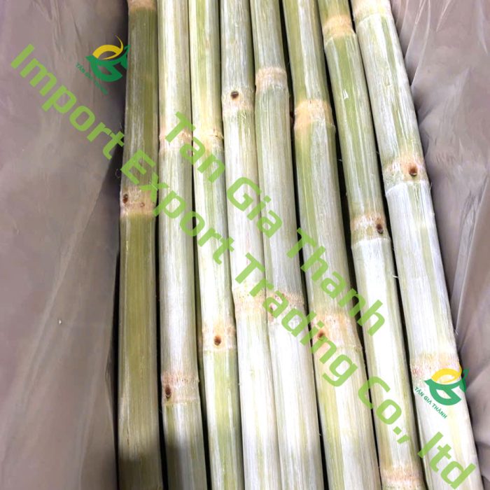 Frozen peeled sugarcane with nodes