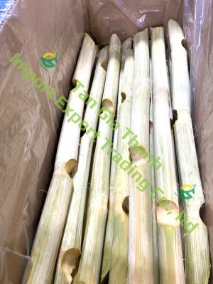 Frozen sugarcane without nodes