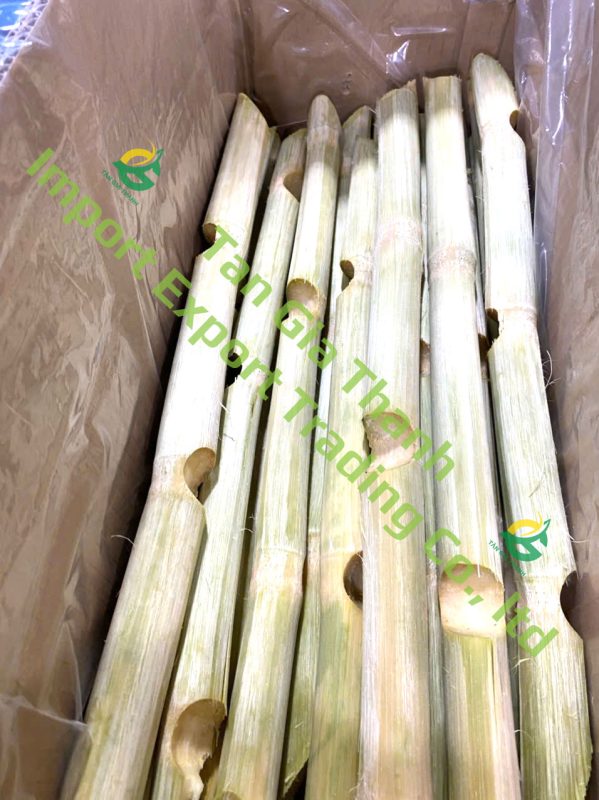 Tan Gia Thanh Exim Trading Co., Ltd