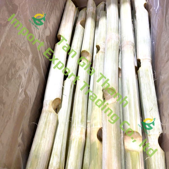 Frozen sugarcane without nodes