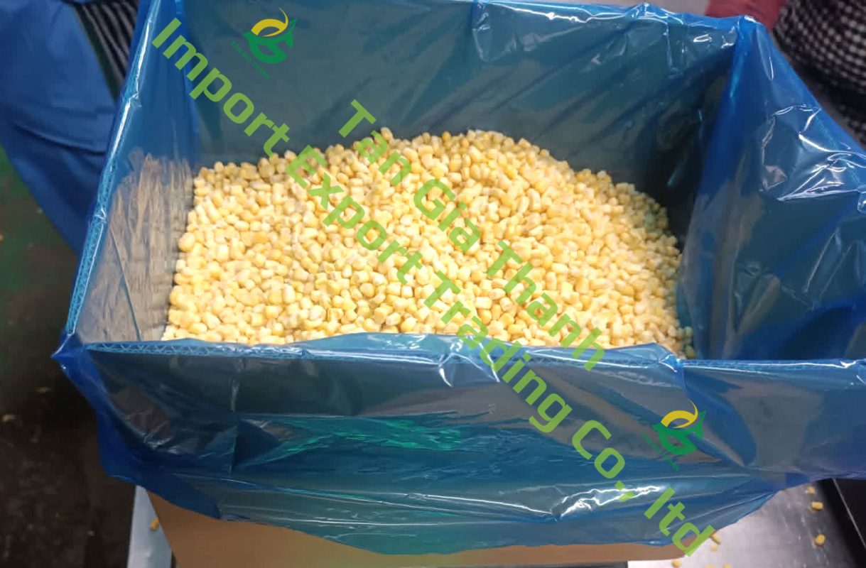 Tan Gia Thanh Exim Trading Co., Ltd