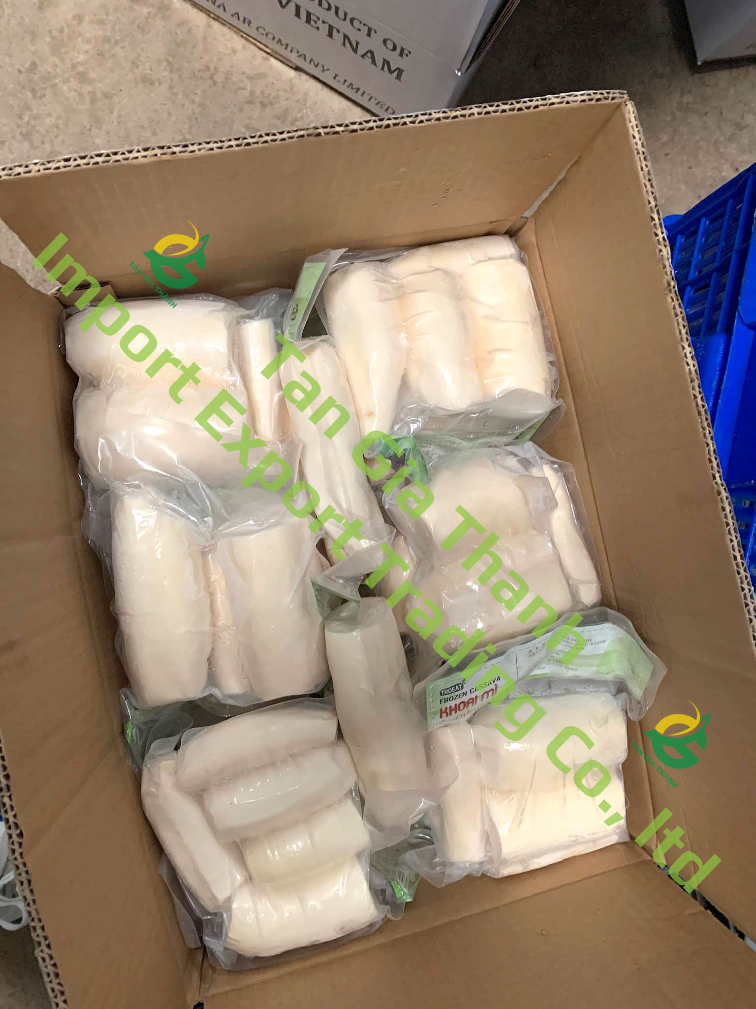 Frozen whole cassava in Vietnam Frozen whole cassava in Vietnam