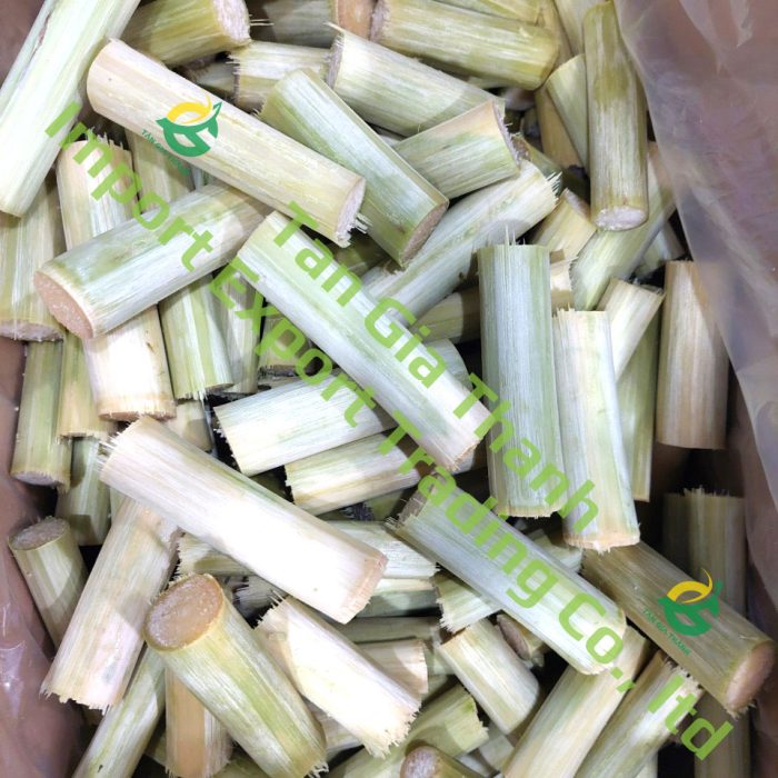 Sugarcanes are cut into small size