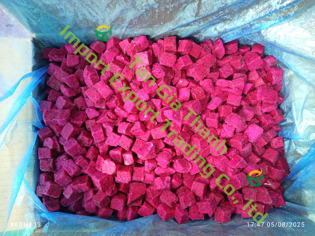 Frozen red dragon fruit cube Frozen red dragon fruit cube